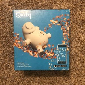 Quirky Portfolio Pig Bank